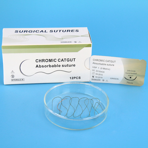 Chromium suture of sheep intestine