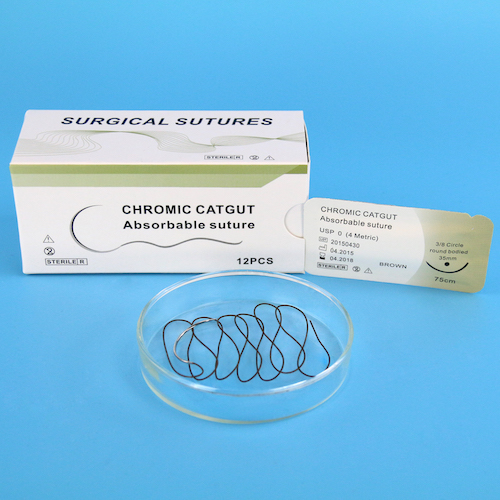Chromium suture of sheep intestine